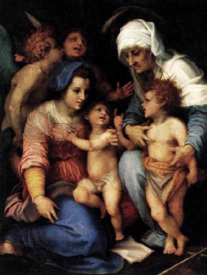 Andrea del Sarto Madonna and Child with St Elisabeth, the Infant St John, and Two Angels China oil painting art